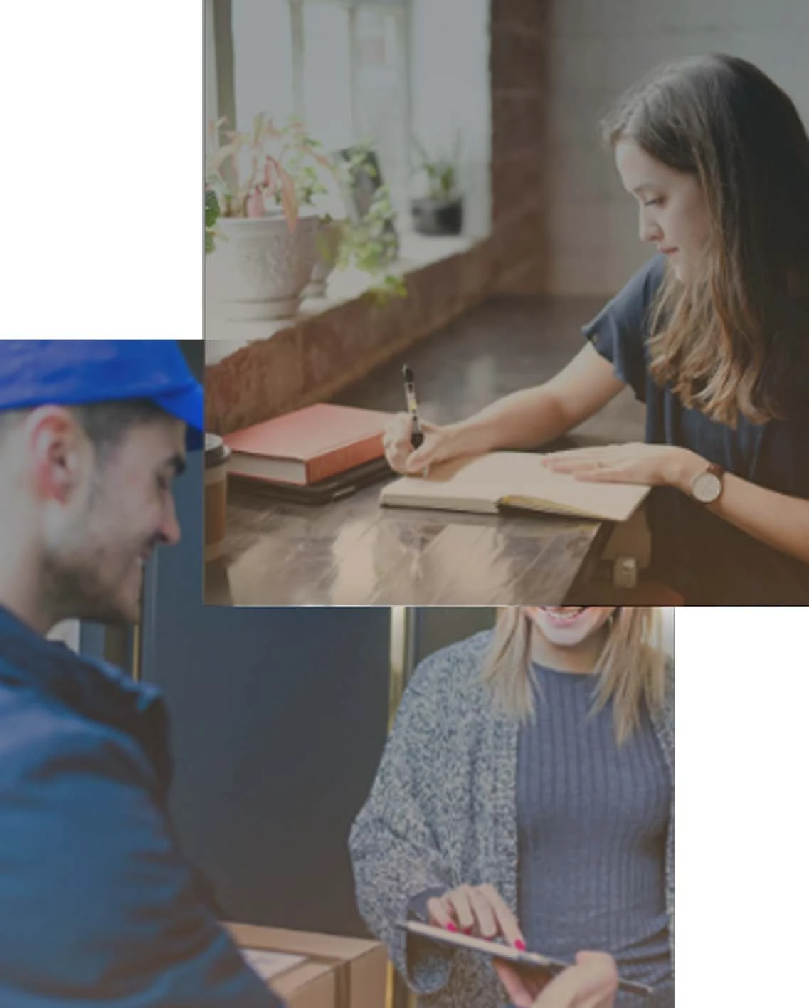 Book Writing Sevices