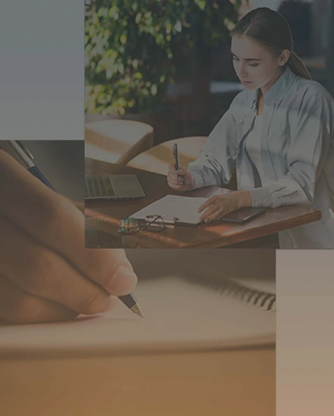 Book Writing Sevices